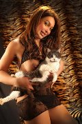 Foto Alessa Venezuelana Annunci Girl Verbania - 39