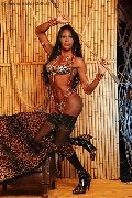 Foto Alessandra La Gatta Nera Annunci Trans Vercelli - 271