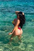 Foto Alessandra Xxii Annunci Trans Gallarate - 39