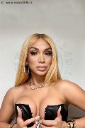 Foto Angel Bunny Annunci Transescort Milano - 21