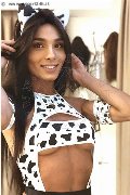 Foto Brunna Campanaro Annunci Trans San Benedetto Del Tronto - 100