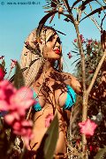 Foto Chrystal Medeiros Pornostar Annunci Trans Roma - 52