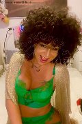 Foto Daysy Annunci Transescort Gallarate - 4