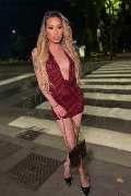 Foto Duda Castro Annunci Trans Milano - 52