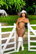 Foto Gabriella Xxl Brasile Annunci Trans Milano - 17