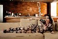 Foto Gloria Voguel Annunci Transescort Parma - 10