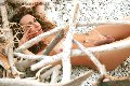 Foto Hot Giselly Bella Annunci Trans Villa Rosa - 13