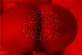 Foto Hot Izabellaa Annunci Trans Busto Arsizio - 5