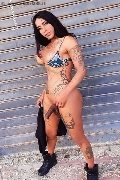 Foto Hot Sabry Annunci Transescort Recife - 2