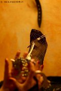 Foto Lady De Sade Italy Annunci Mistress Marina Di Carrara - 22