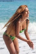Foto Liisa Asiatica Ladyboy Annunci Trans Pescara - 391