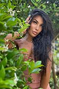 Foto Mandy Asiatica Annunci Trans Firenze - 38
