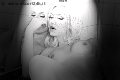 Foto Mary Ts Annunci Trans Francoforte - 25