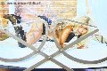 Foto Monica Kicelly Annunci Trans Firenze - 31