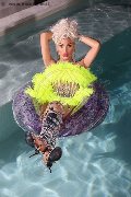 Foto Nina La Divina Annunci Trans Ibiza - 85