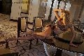 Foto Rebecca Ferraz Pornostar Annunci Trans Roma - 14