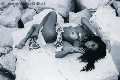 Foto Sabrina Hemolly Annunci Trans Milano - 83