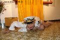 Foto Sara Italy Annunci Transescort Lussemburgo - 24
