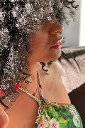 Foto Serena Annunci Trans Bologna - 5