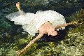 Foto Victoria Luxo Annunci Transescort Alba Adriatica - 49