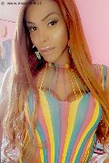 Foto Wanessa Armani Annunci Trans Frosinone - 184