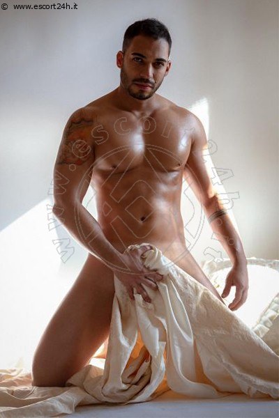 Foto Harry Dotato  Annunci Boy 3932513795
