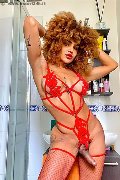 Foto Hot Stella Annunci Trans Milano - 5