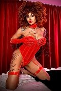 Foto Stella Annunci Trans Milano - 16