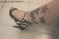 Foto Suzana Pantera Annunci Trans Alessandria - 55